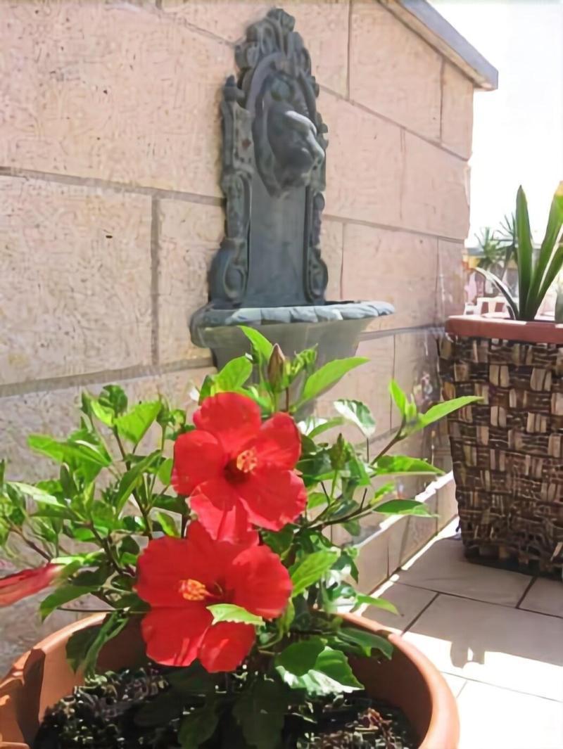 Hotel Garden Viareggio Exterior foto